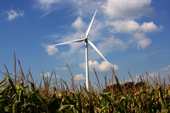 American Municipal Power-Ohio Green Mountain Energy Wind Farm near Bowling Green. Photo Ben French